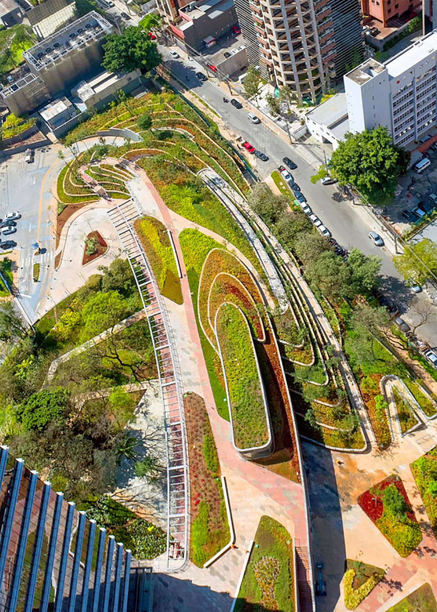 SAO_PAULO_TERRAIN_WORK.jpg