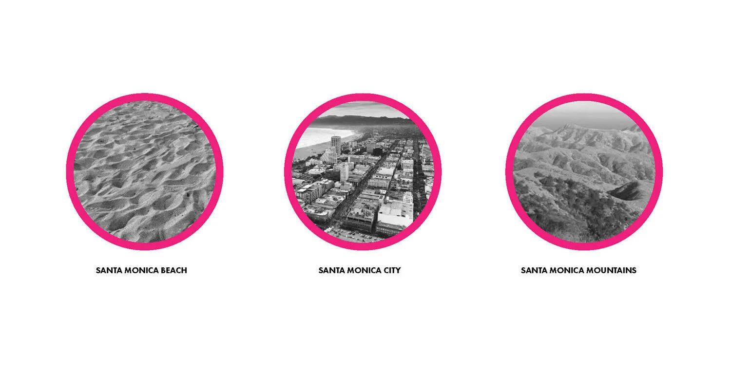 TERRAIN_WORK_SANTA_MONICA_9.jpg