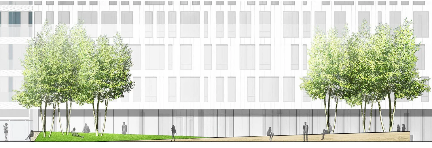 TERRAIN_WORK-CAPITOL-CROSSING_4.jpg