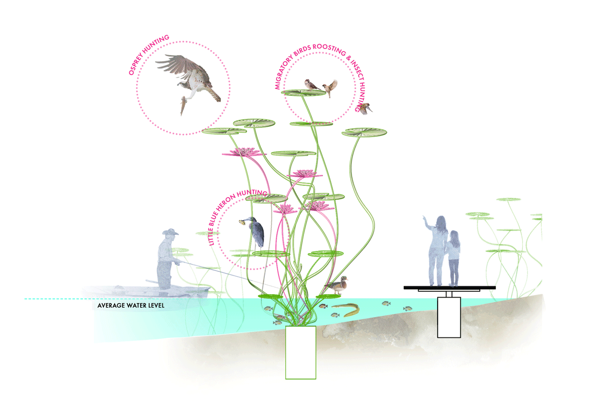 fish-installation-diagram_edit.gif
