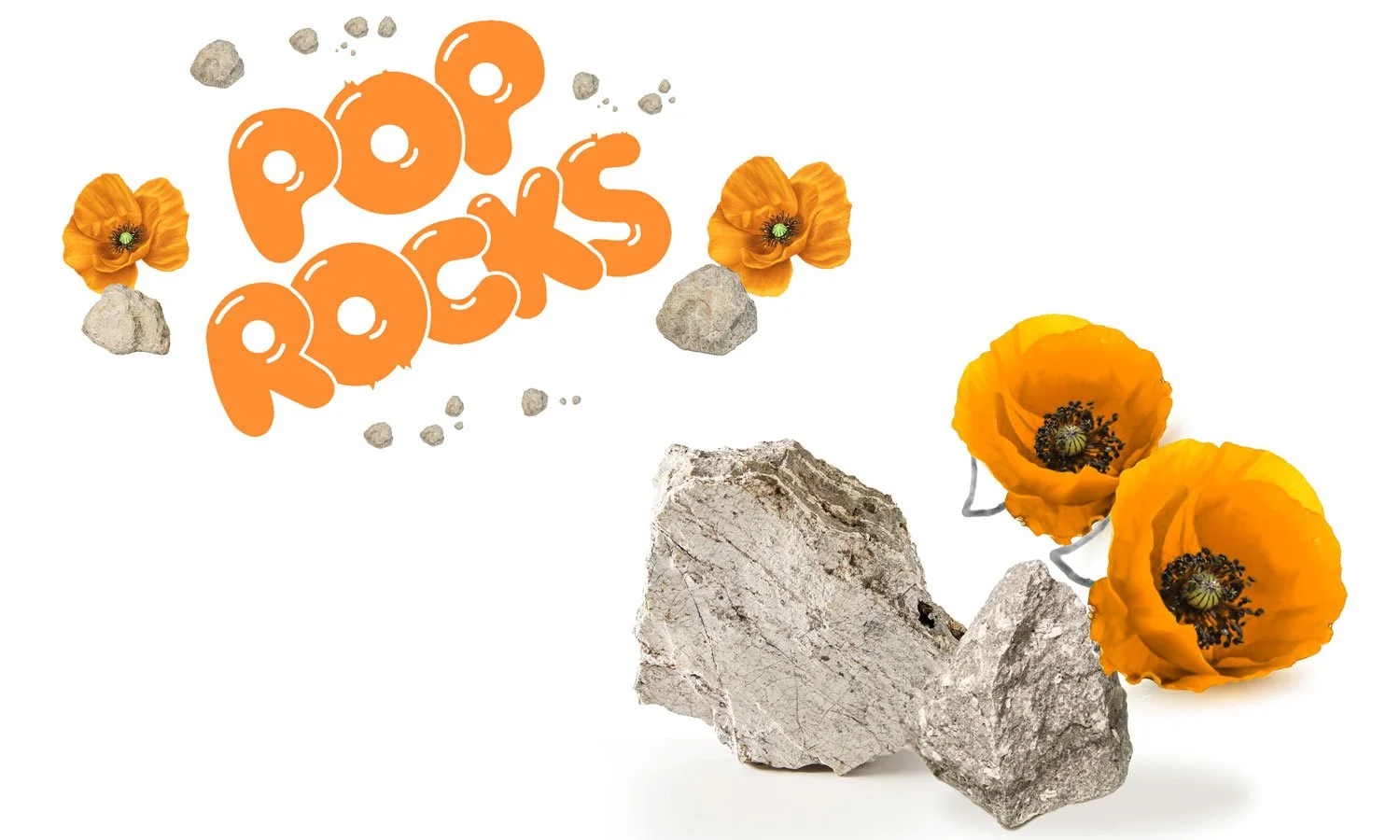 POP_ROCKS_TERRAIN-WORK1.jpg