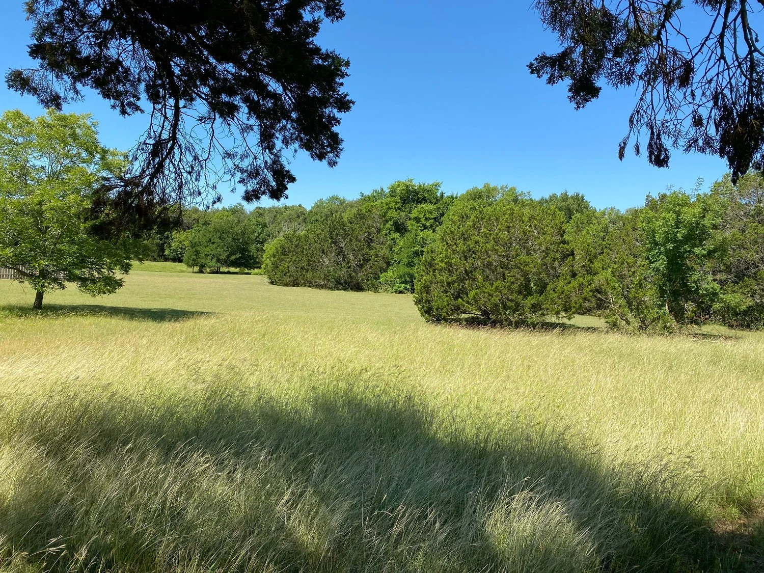 Terrain-Work_Austin-10.jpg