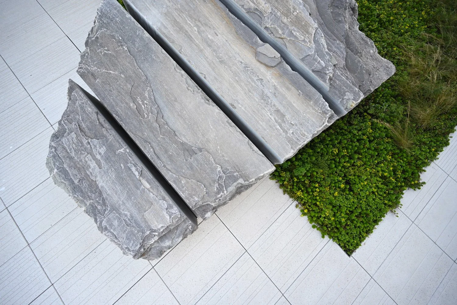 TERRAIN_WORK_HUDSON-COMMONS_x2.jpg
