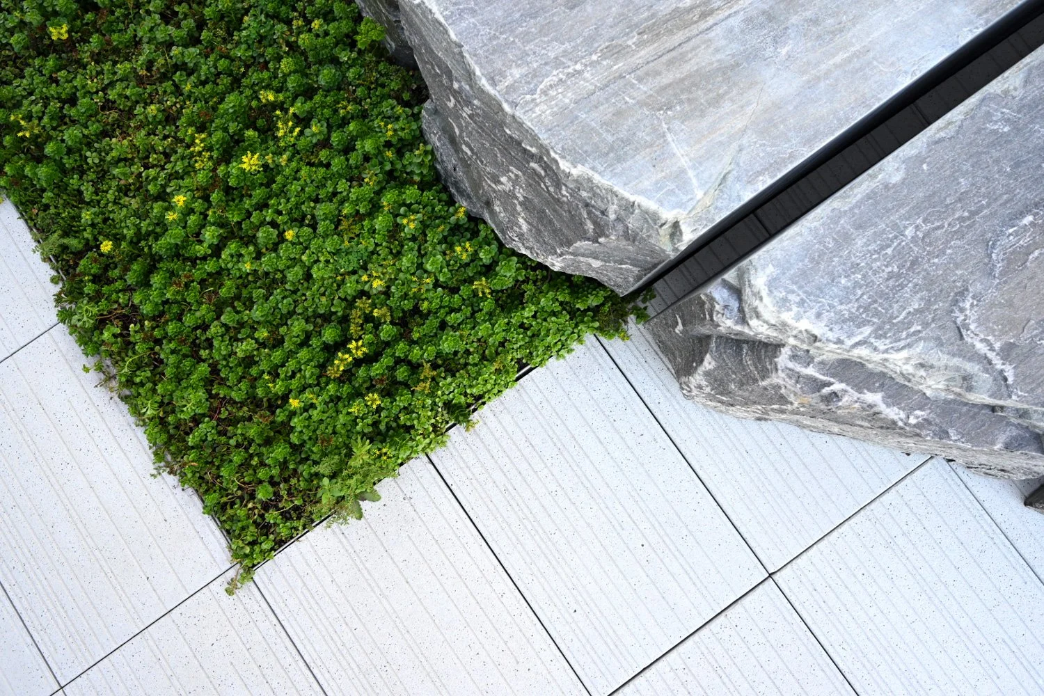 TERRAIN_WORK_HUDSON-COMMONS_x6.jpg