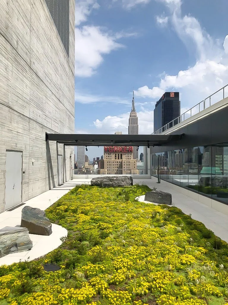 TERRAIN_WORK_HUDSON-COMMONS_x8.jpg