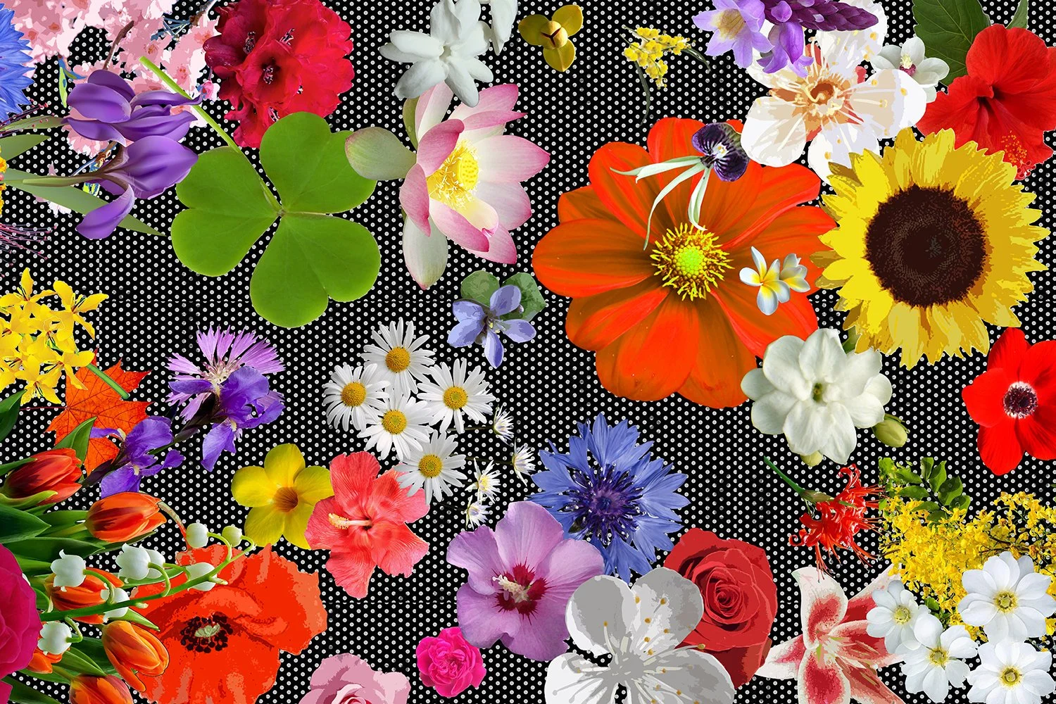 TerrainWork_QueensBlossoms_B.jpg