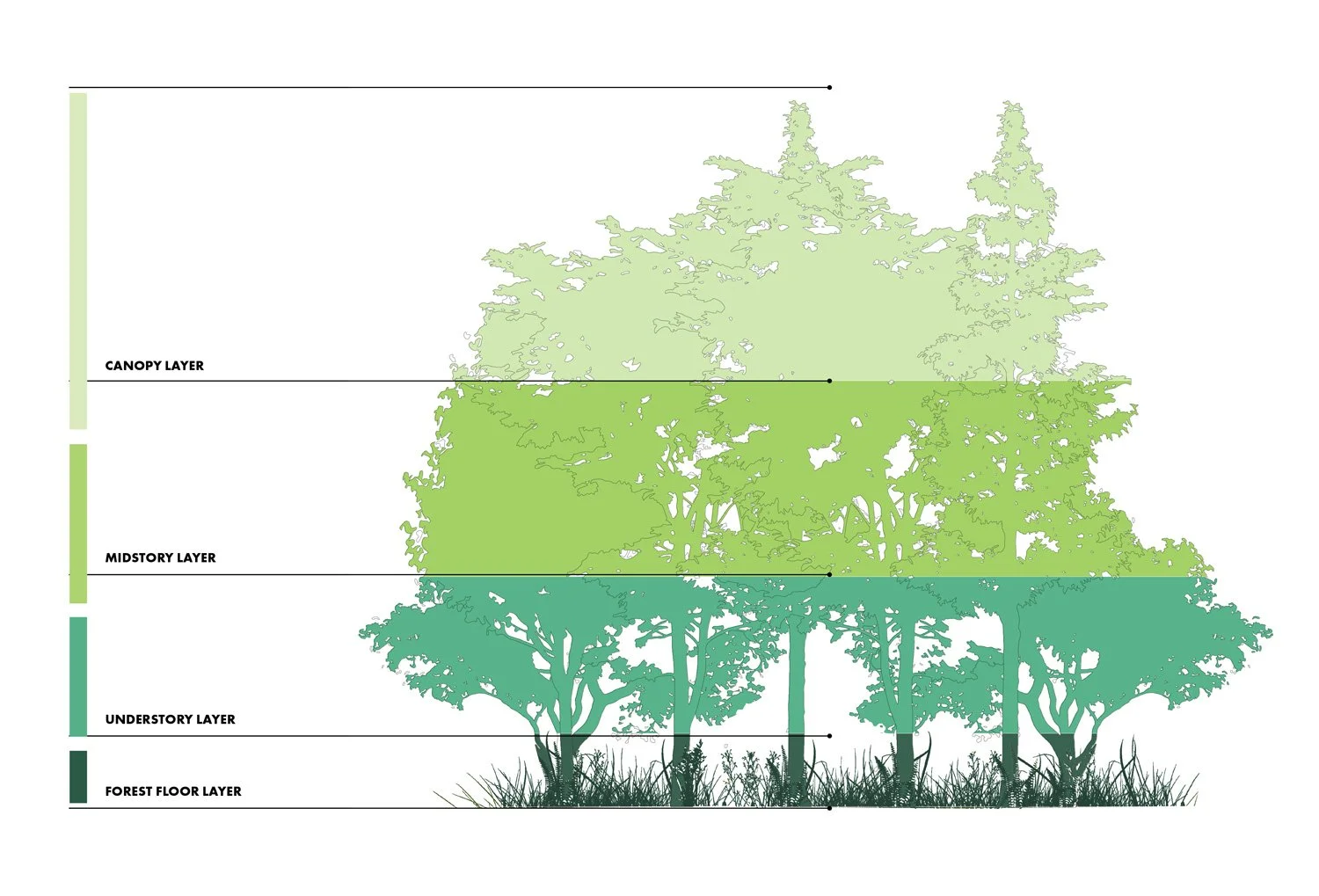 TERRAIN_WORK_WHIPPLE-CENTER_2.jpg