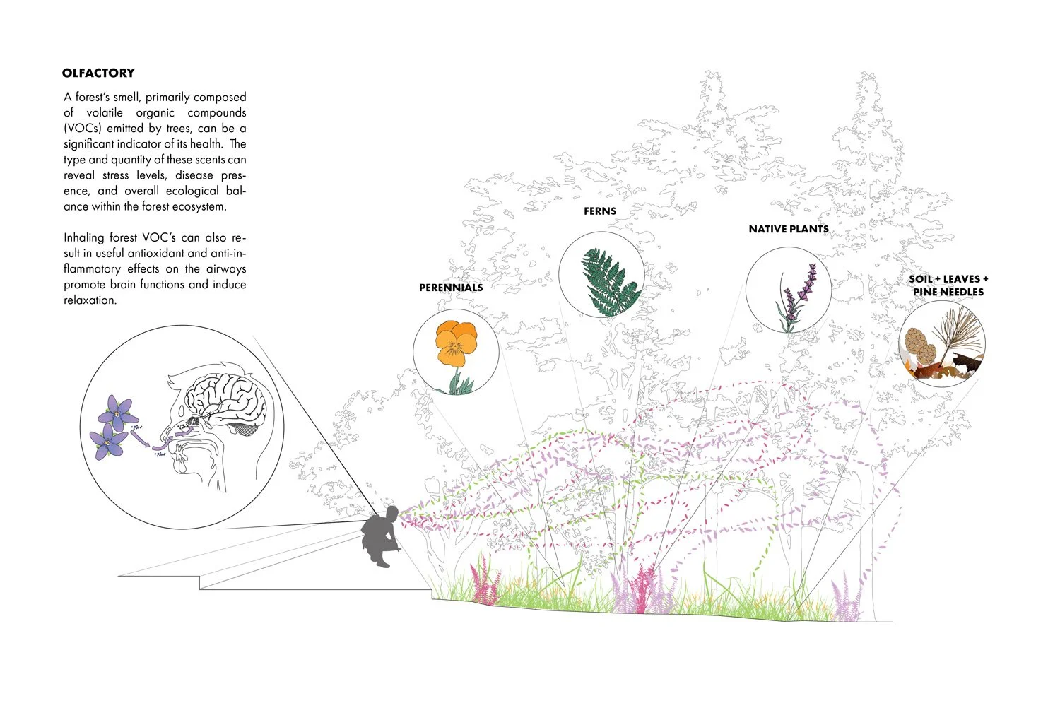 TERRAIN_WORK_WHIPPLE-CENTER_4.jpg
