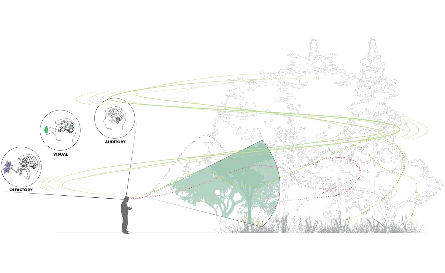 TERRAIN_WORK_WHIPPLE-CENTER_5.jpg