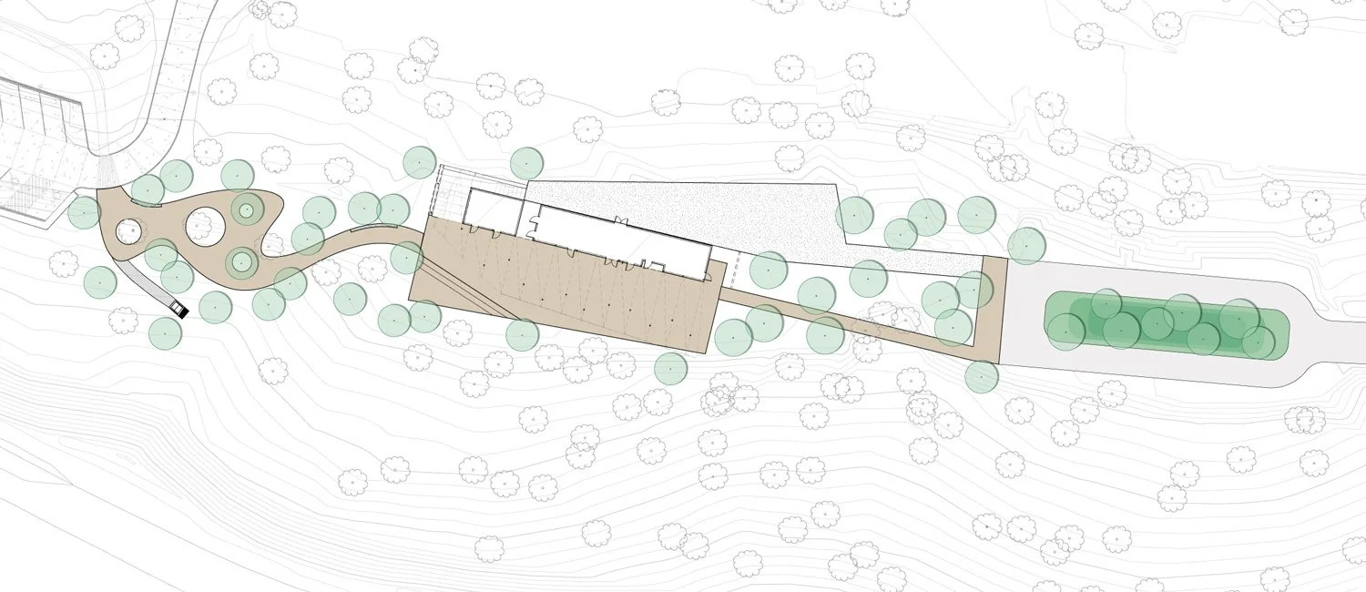 TERRAIN_WORK_WHIPPLE-CENTER_12.jpg