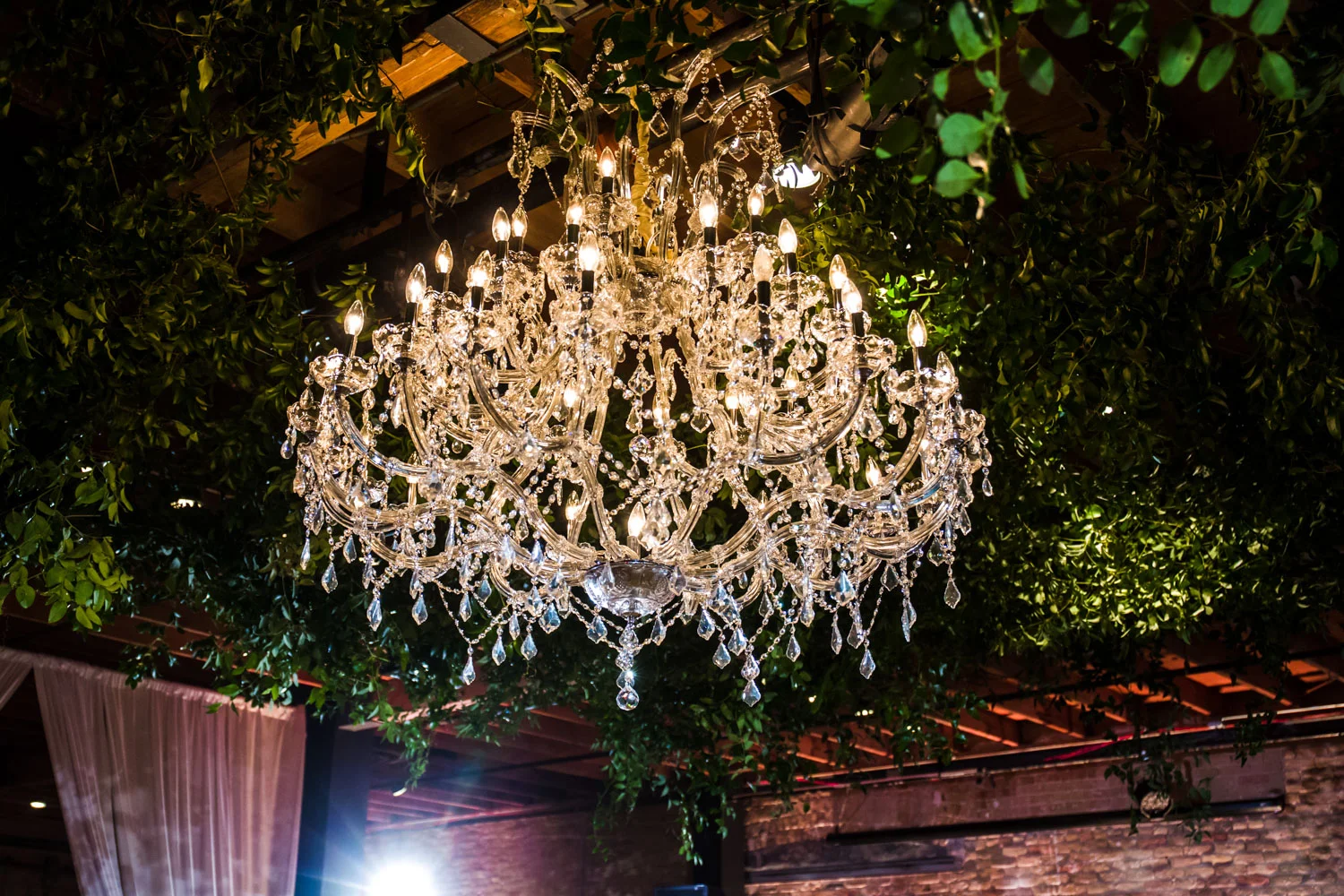 JD-Marriot-Wedding-Austin.20.jpg