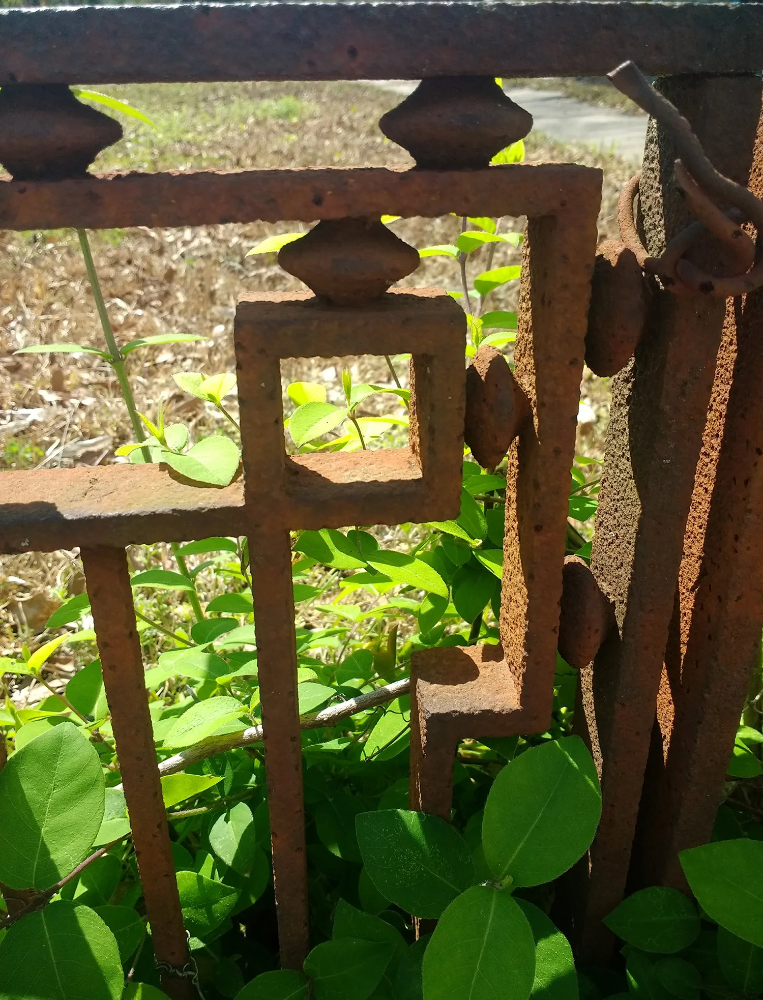 melrose-fence-detail.jpg