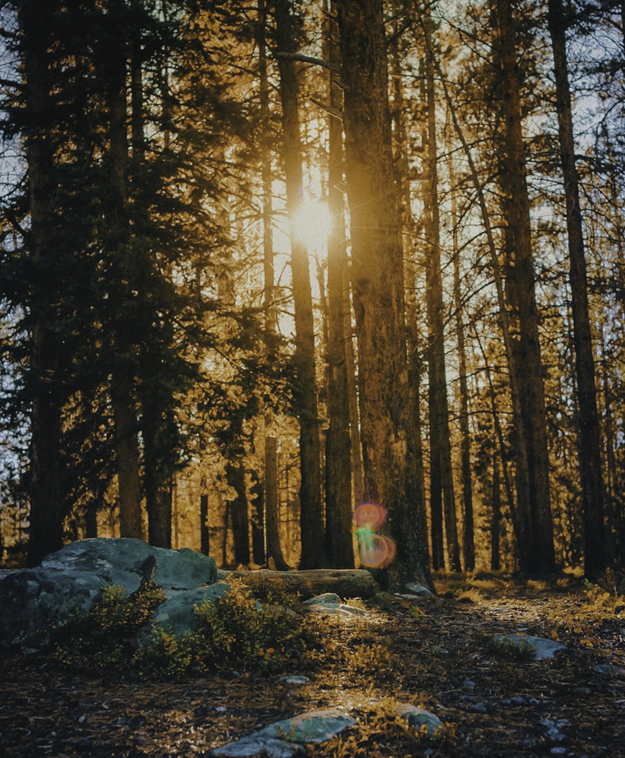 chambers lake | poudre canyon, co