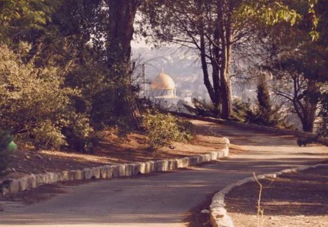 "The Dome of the Rock is important to me, because I love Jerusalem, but It's far away because of the occupation and all the security procedures."