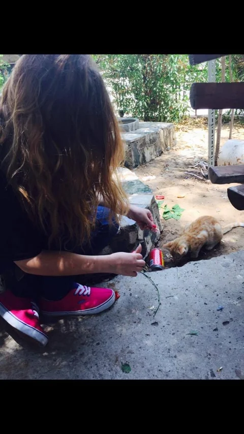 "A homeless cat" Image credit: Irena Louzon