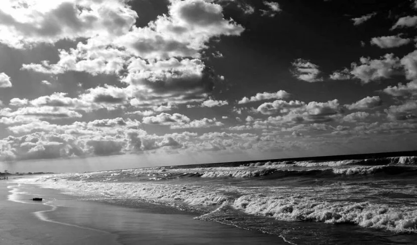 "Gaza beach" Image credit: Irena Louzon