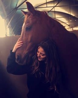 "My favorite horse in the club, not mine" Image credit: Irena Louzon
