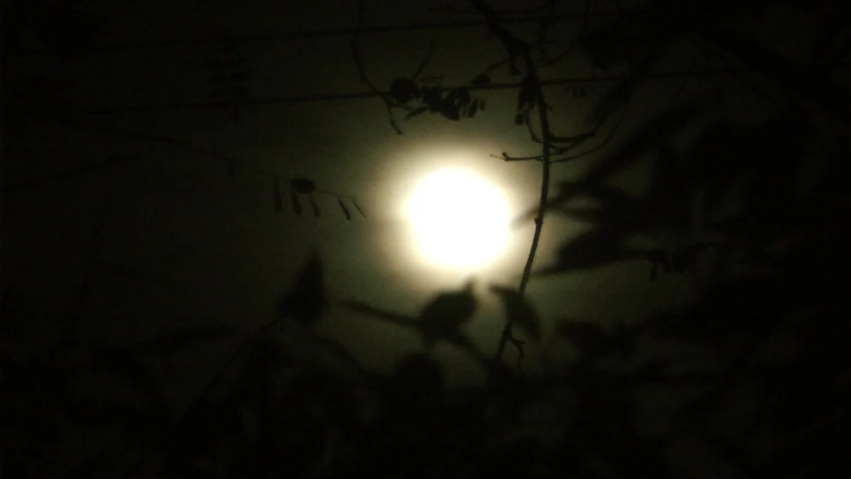 "The birth happened at night, and this picture also reminds me of how the birth is perceived by the baby - that it's dark and that it sees the light on the edge. The moon also symbolizes womanhood." Image credit: Shirly Naveh