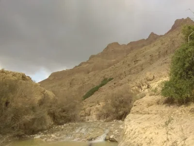 nature5.jpeg