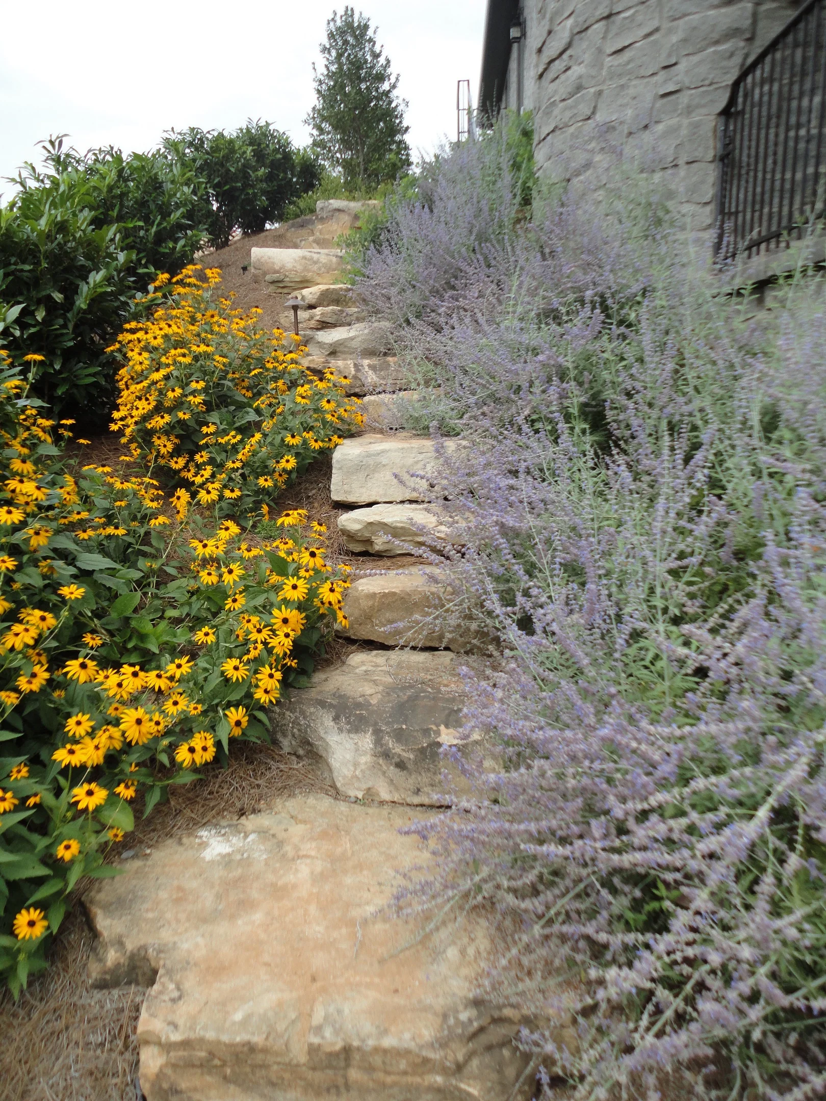 Boulder Steps