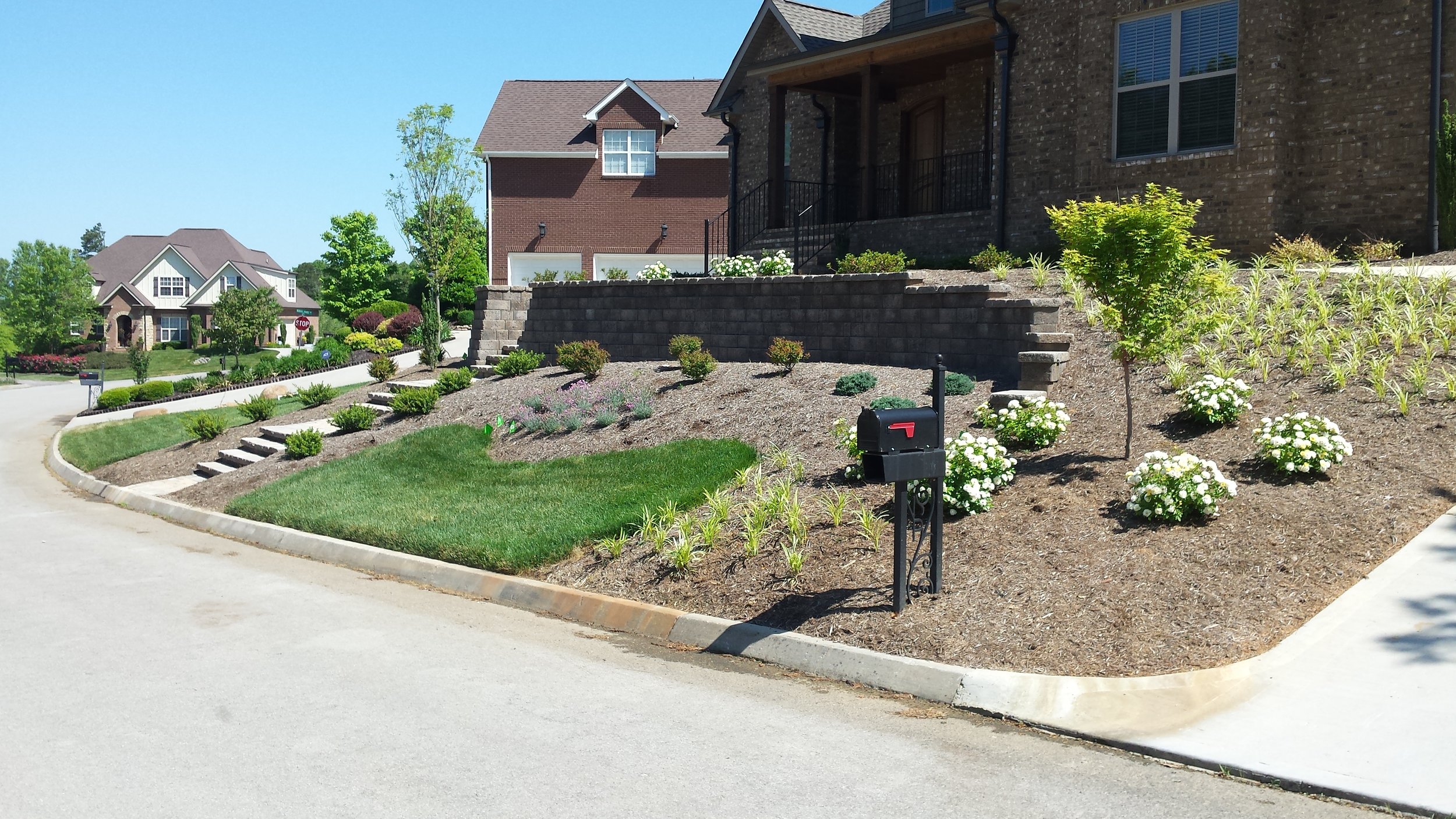 20150513_111253.jpg