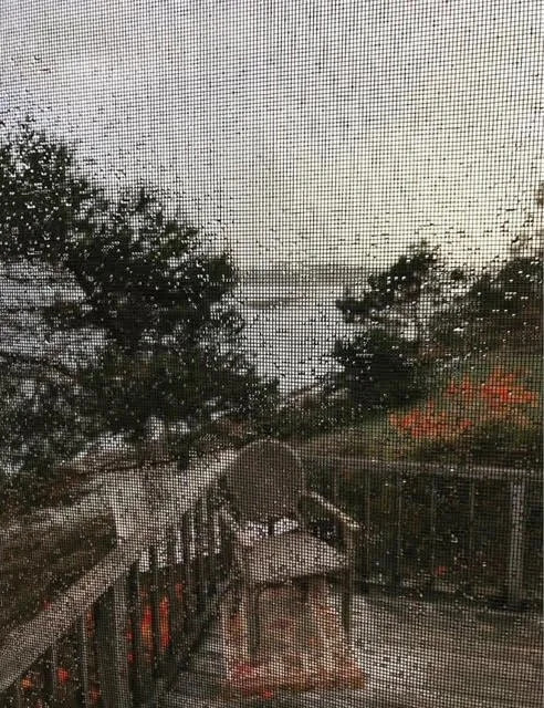 unnamed-25.jpg