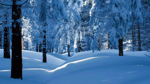 Capitalizing on Seasonal Trends in Practice Building