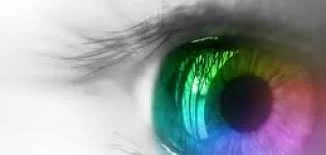 Do your action steps support your vision?