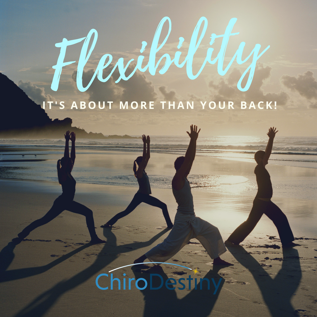 chirodestiny-flexibility.png