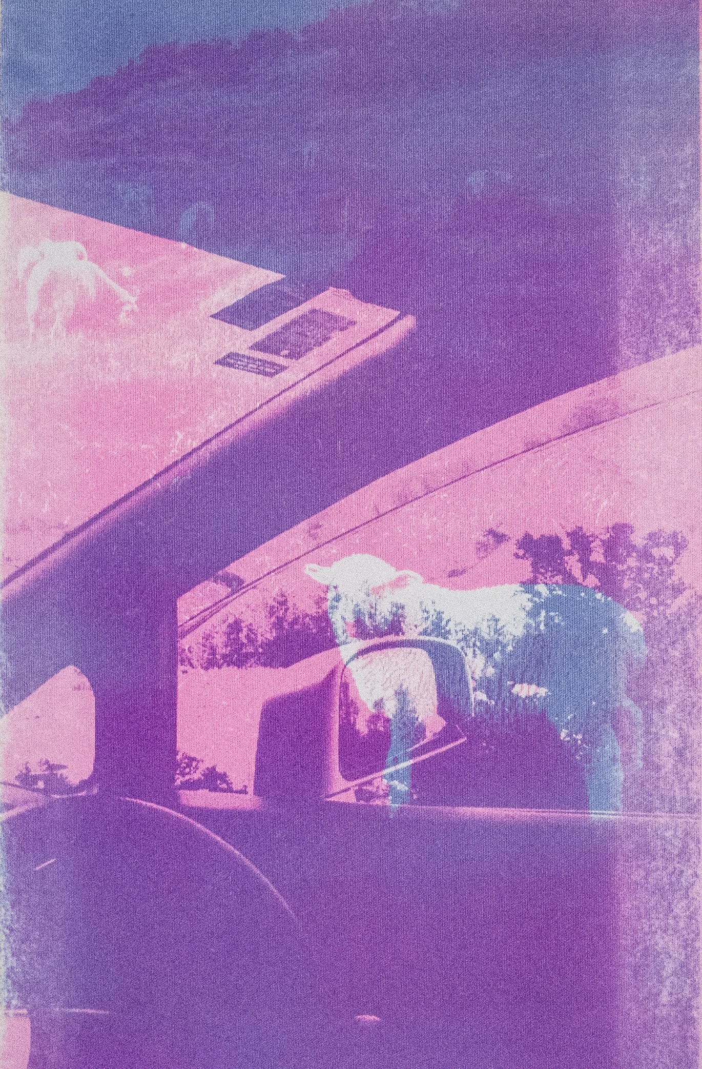 thesisexhibit23.JPG
