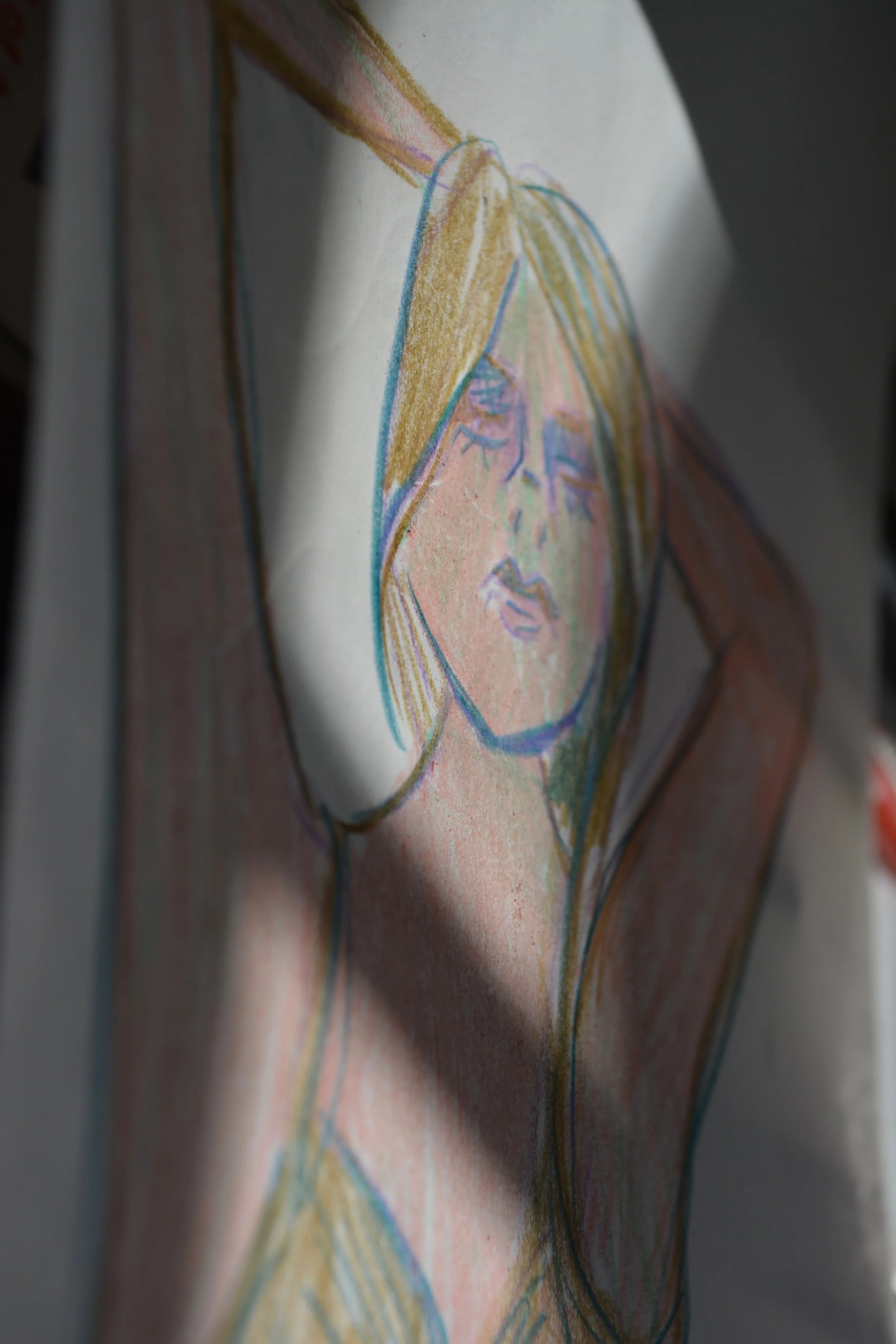 DSC_0263.jpg