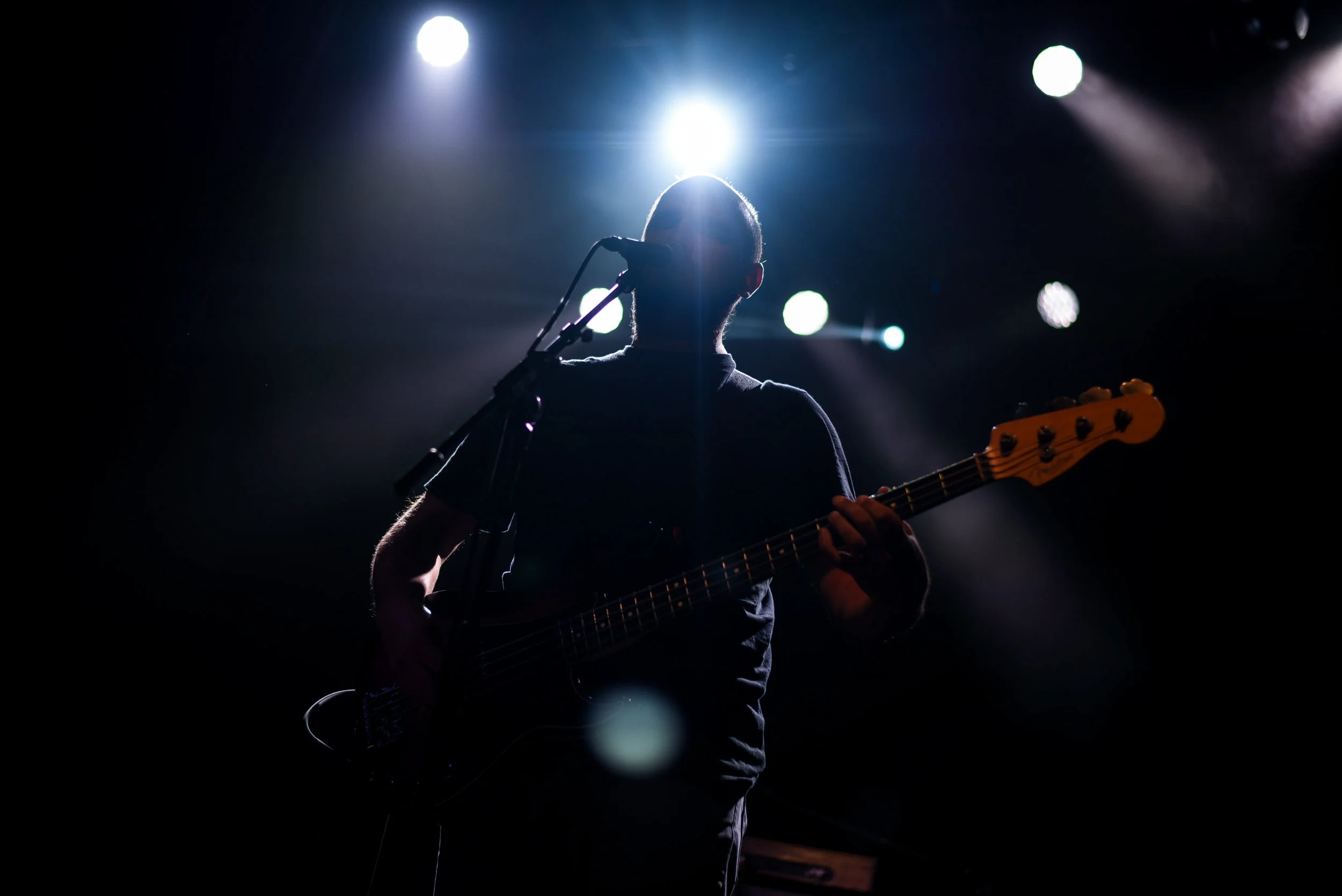 DavidBazan12.jpg