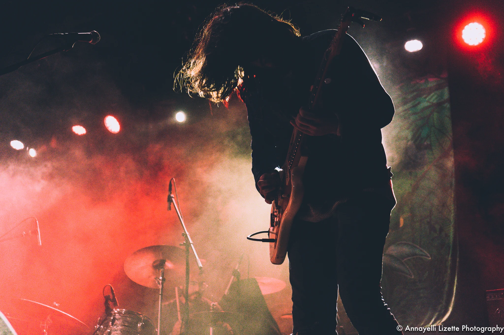 ElvisDepressedly-111017-ChicagoIL-5.jpg