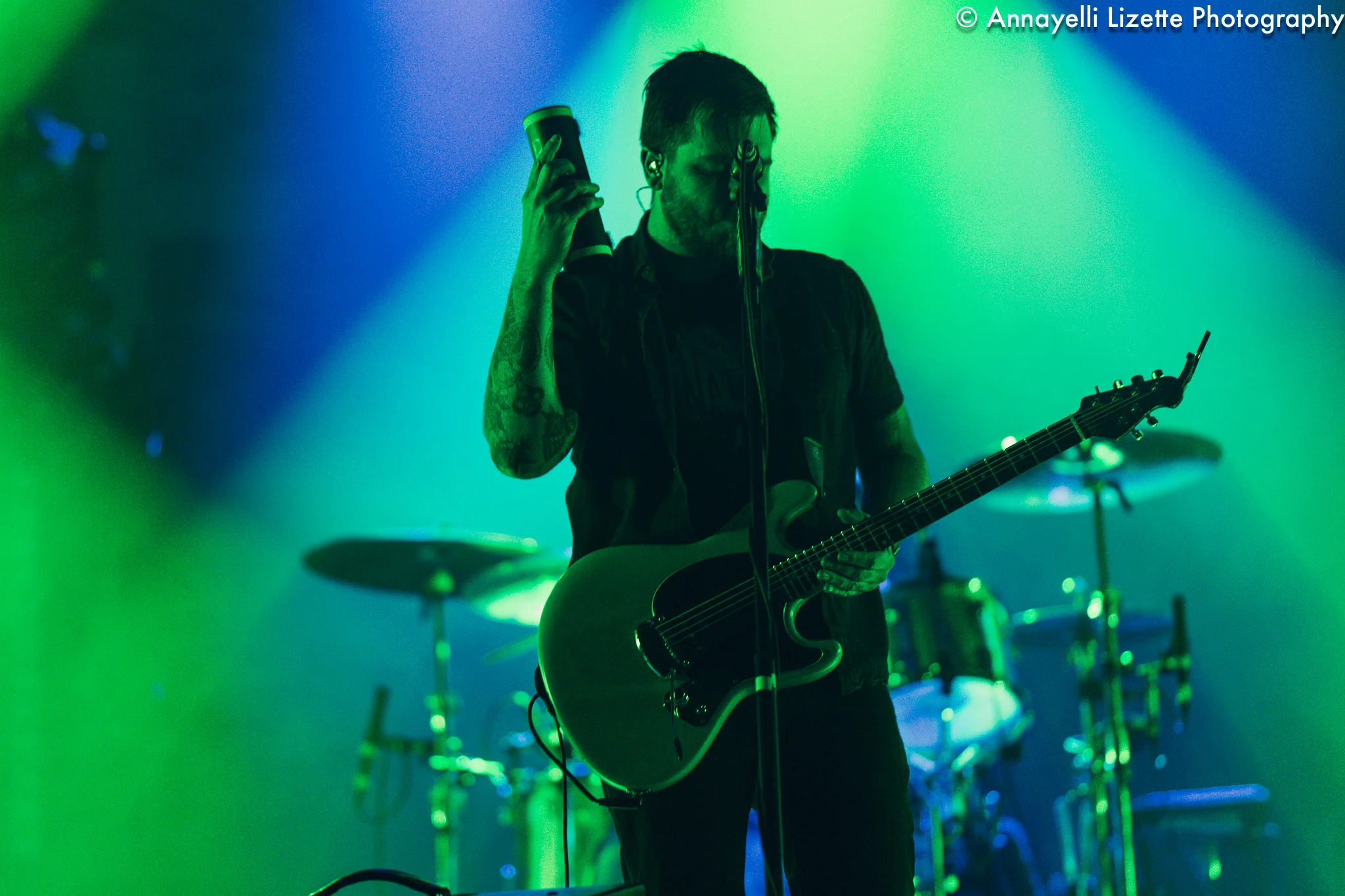 Thrice-120717-ChicagoIL-12.jpg