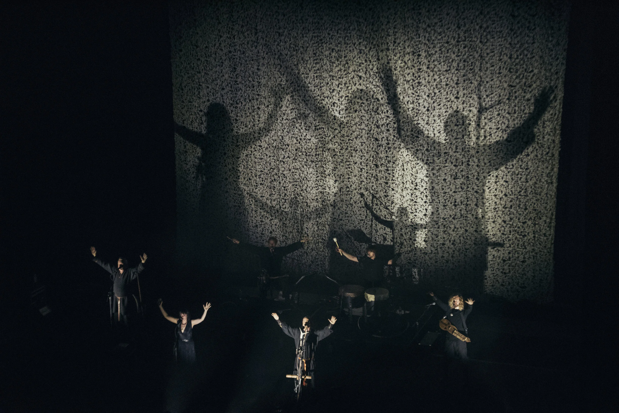 Wardruna 1s.jpg