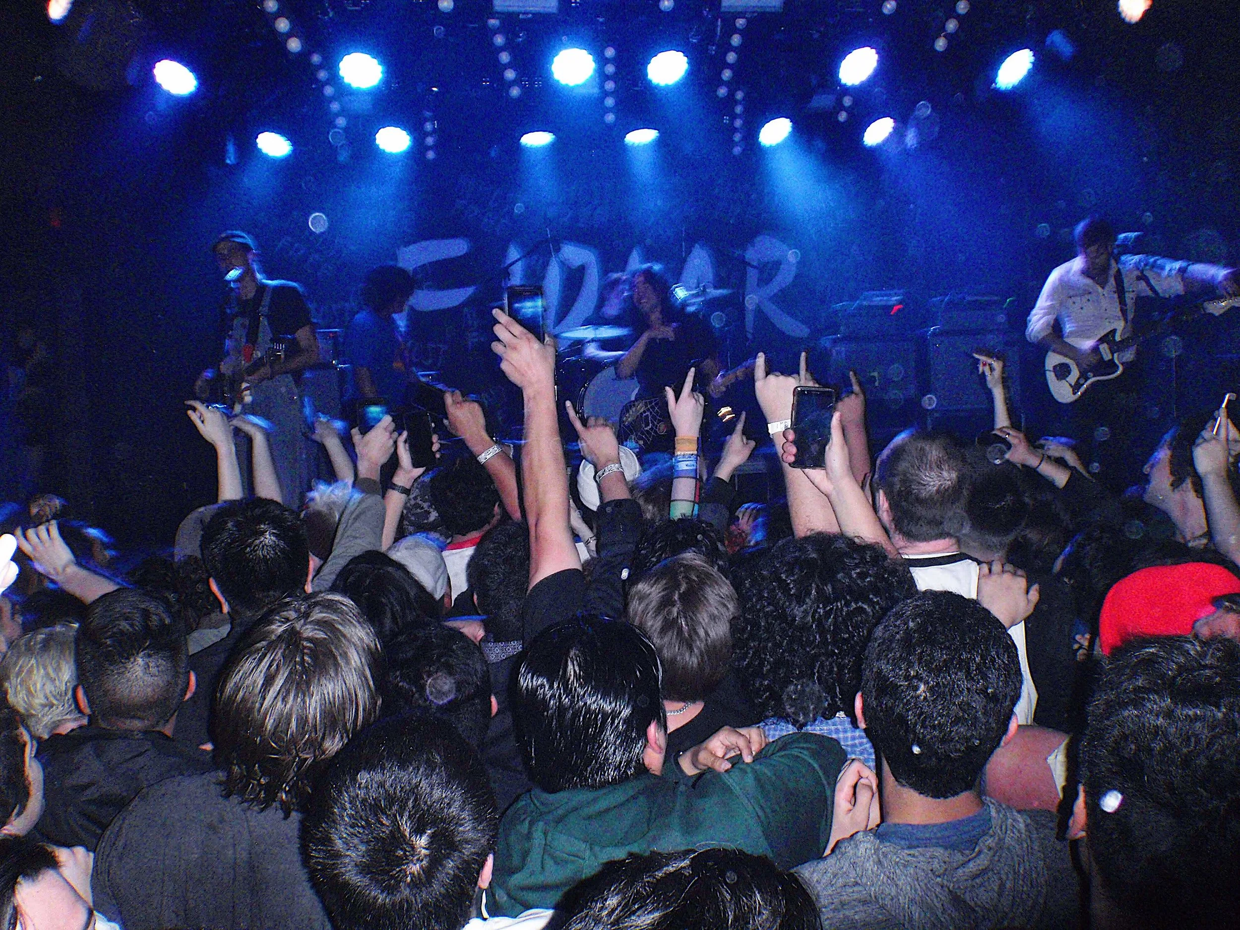 Fidlaar_Terragram_1-26-19_4.jpg