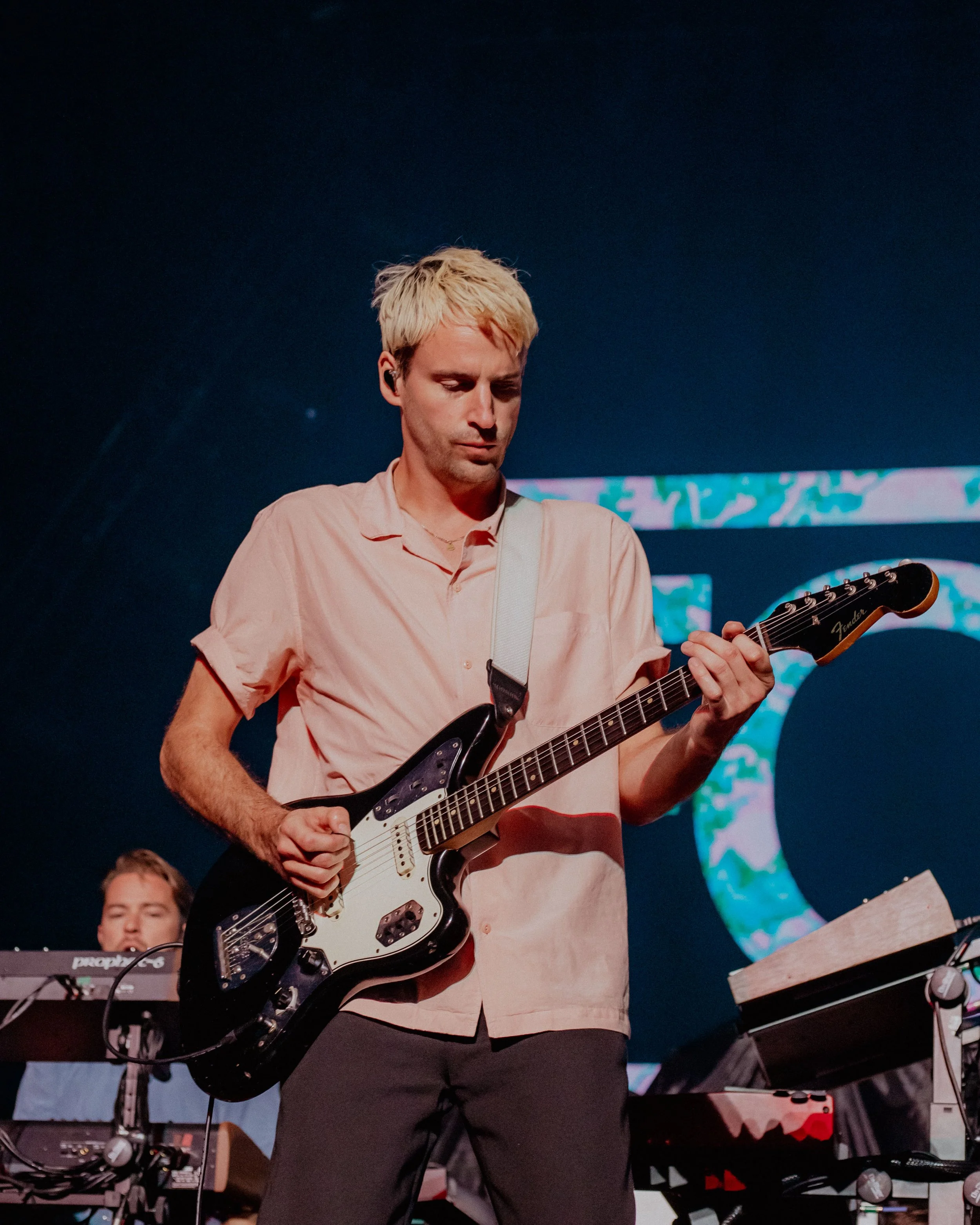 MRL_Foals-2.jpg