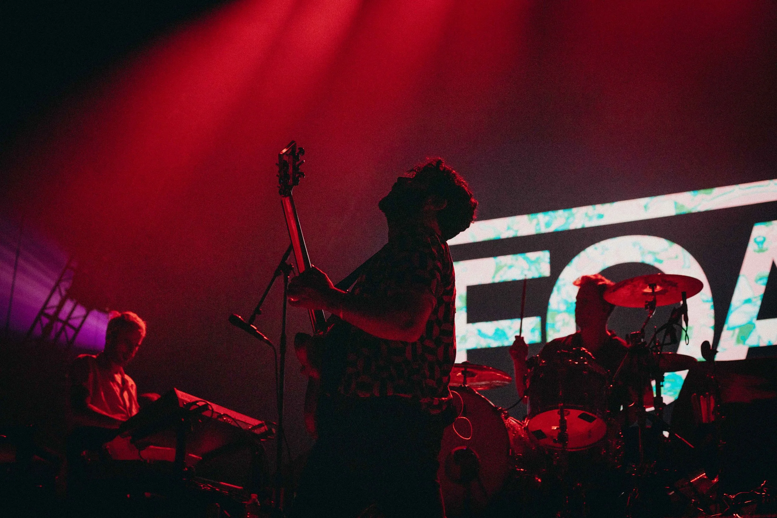 MRL_Foals-6.jpg