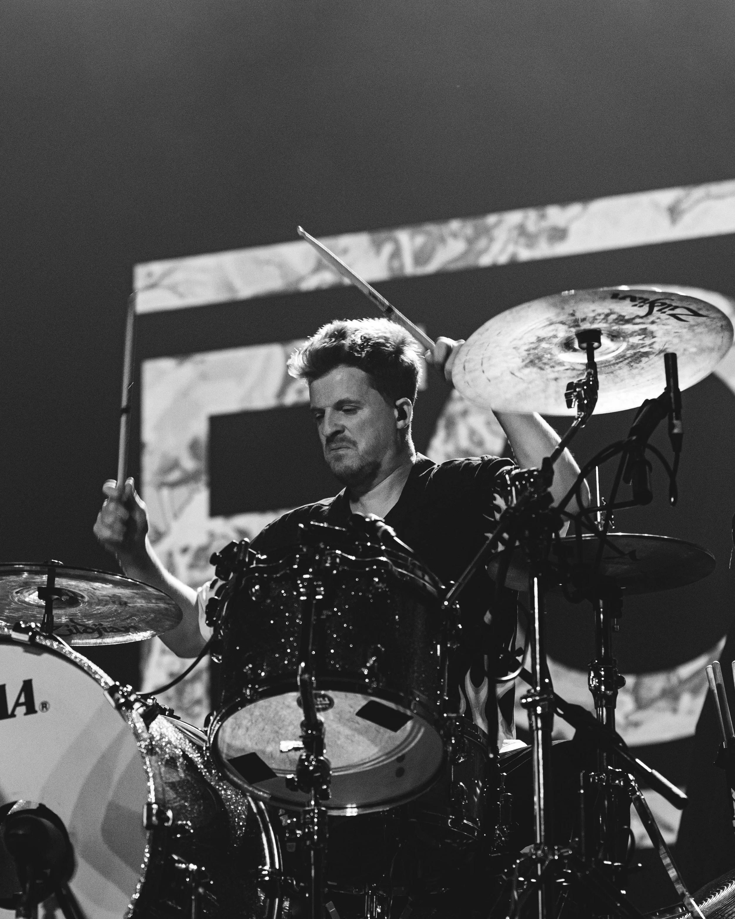 MRL_Foals-8.jpg