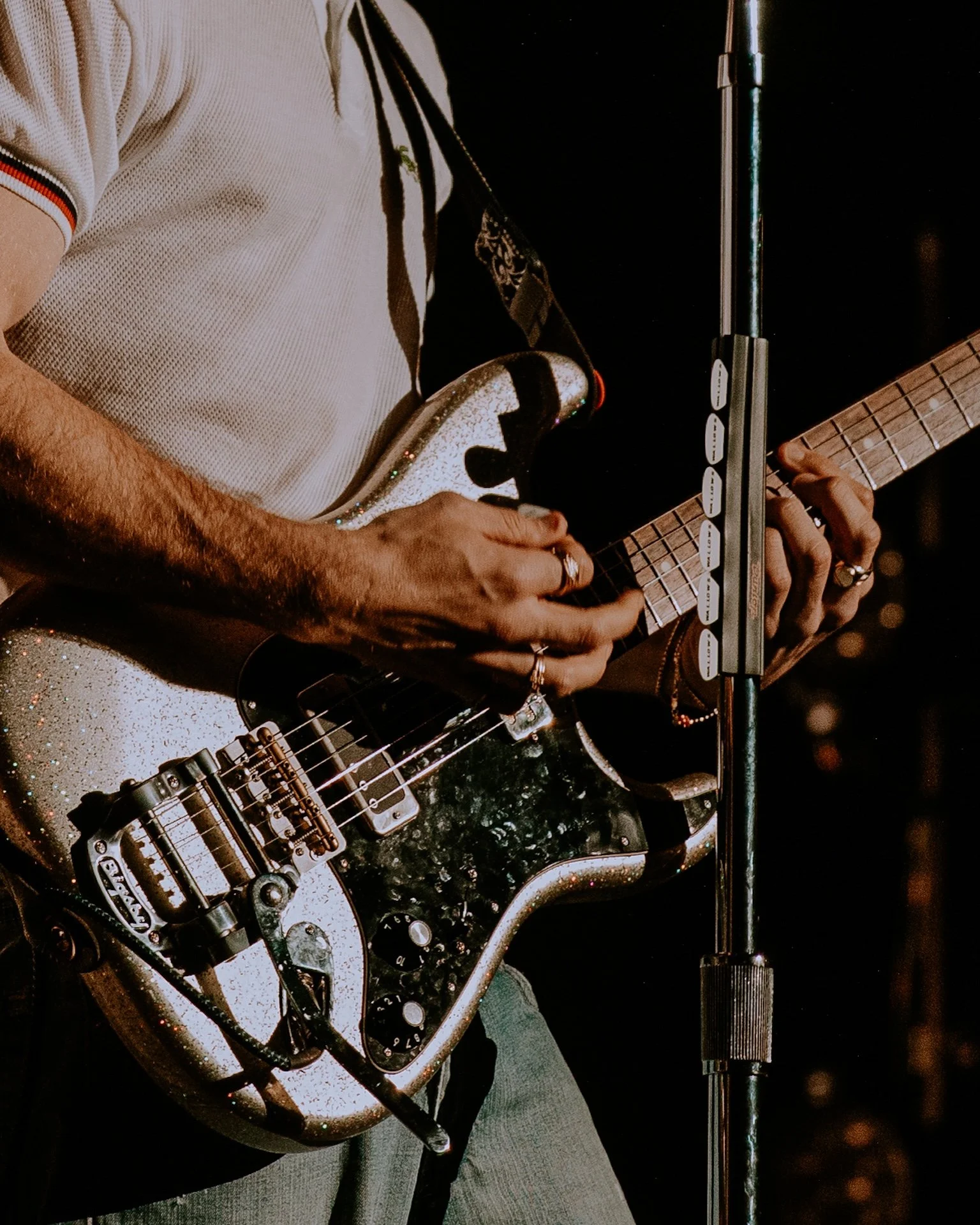 wallows-03.jpg