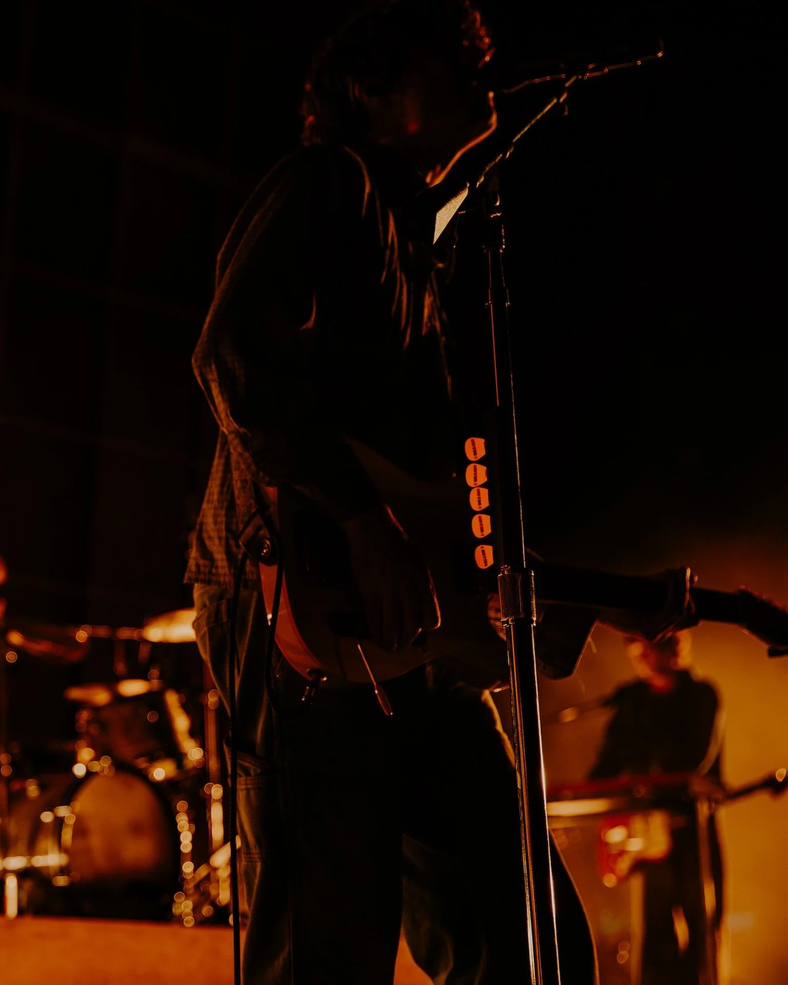 wallows-06.jpg