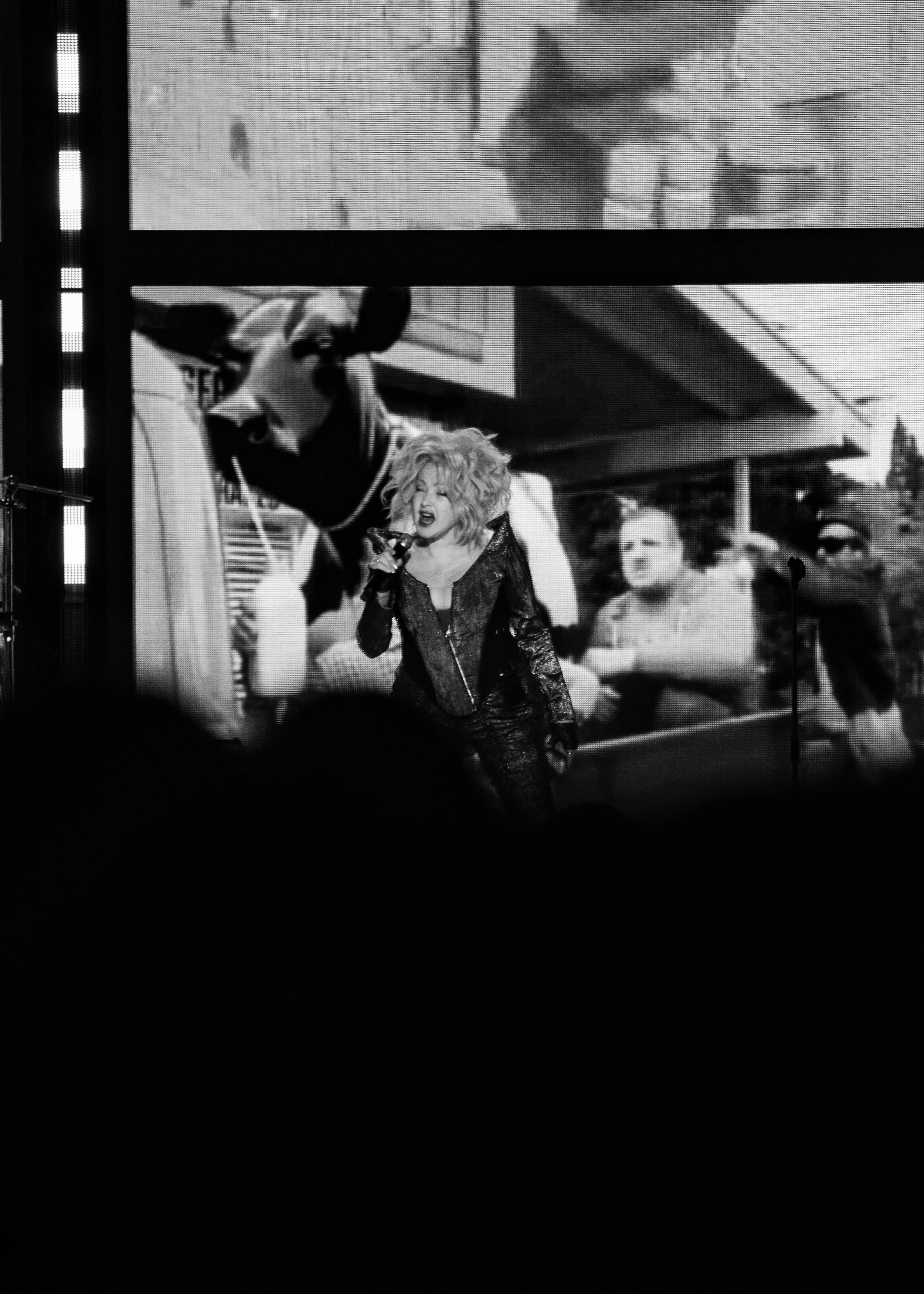 Cyndi Lauper-Hope Small- (9).jpg