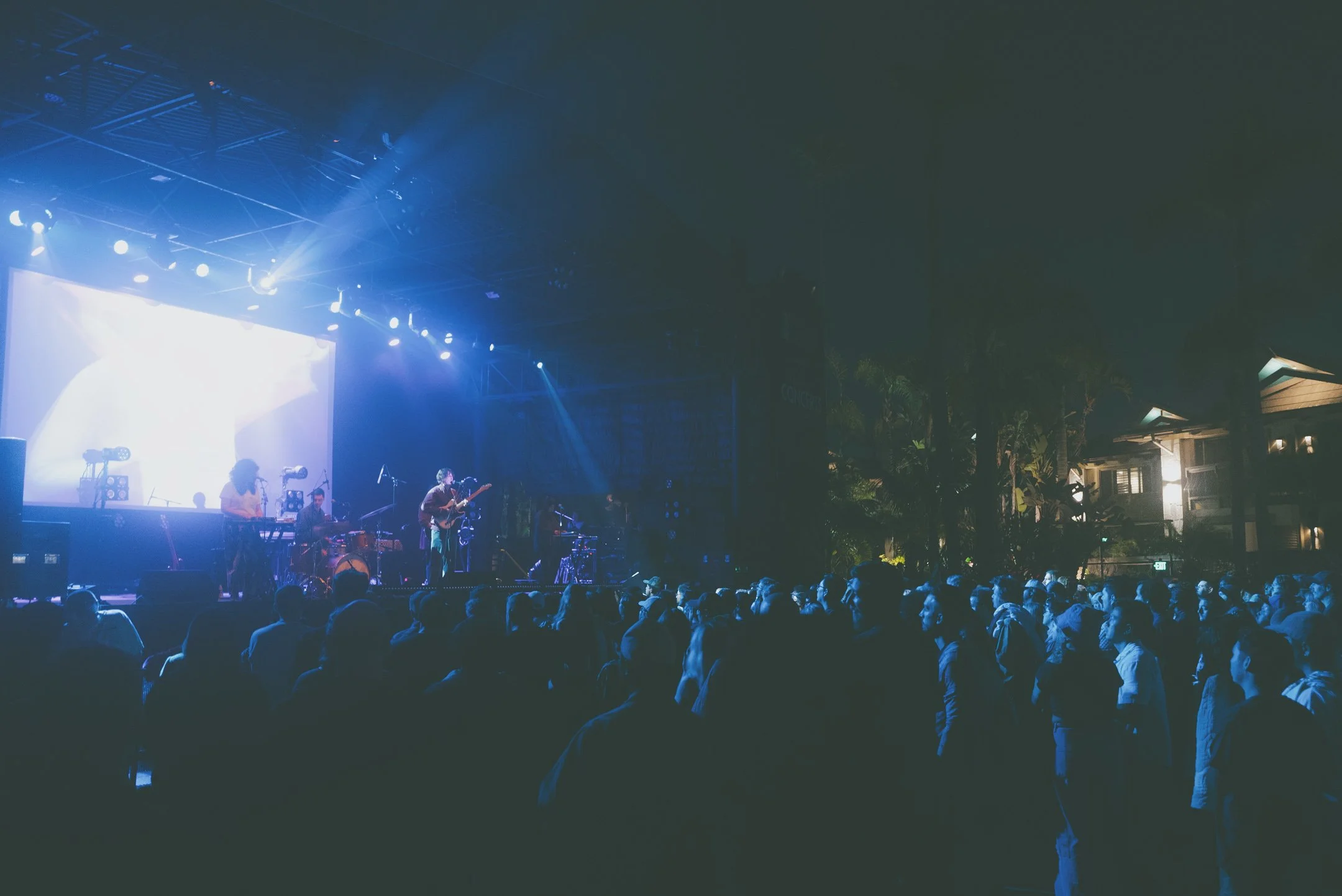 panda bear-ricky bantog-26.jpg