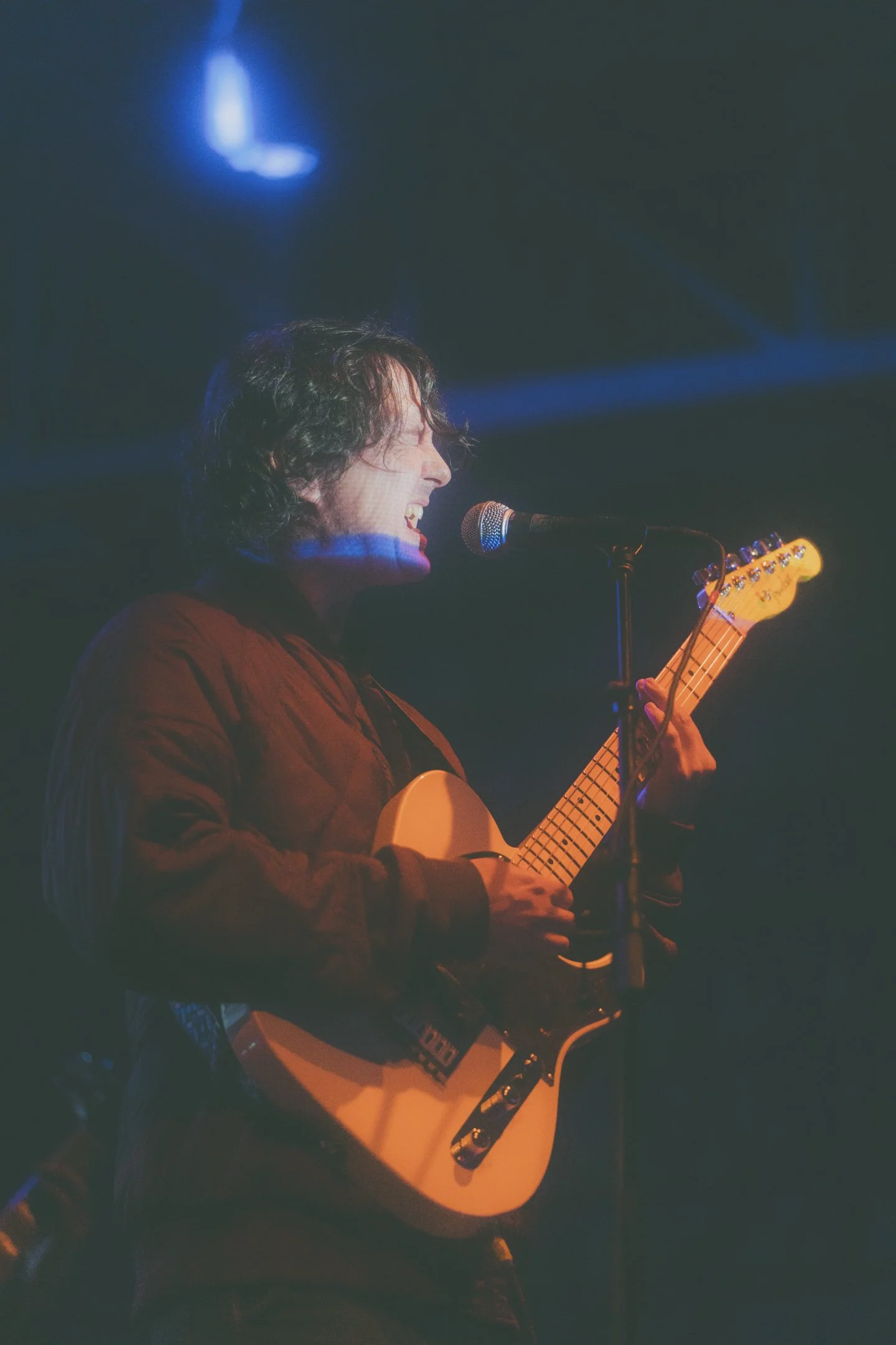 panda bear-ricky bantog-1.jpg