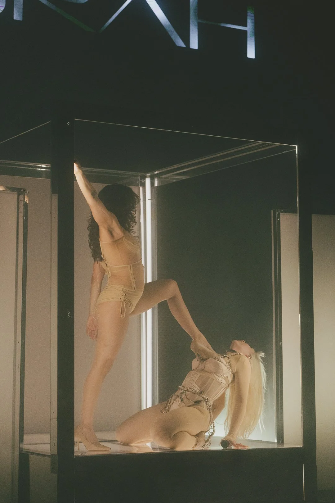 cobrah-ricky bantog-65.jpg