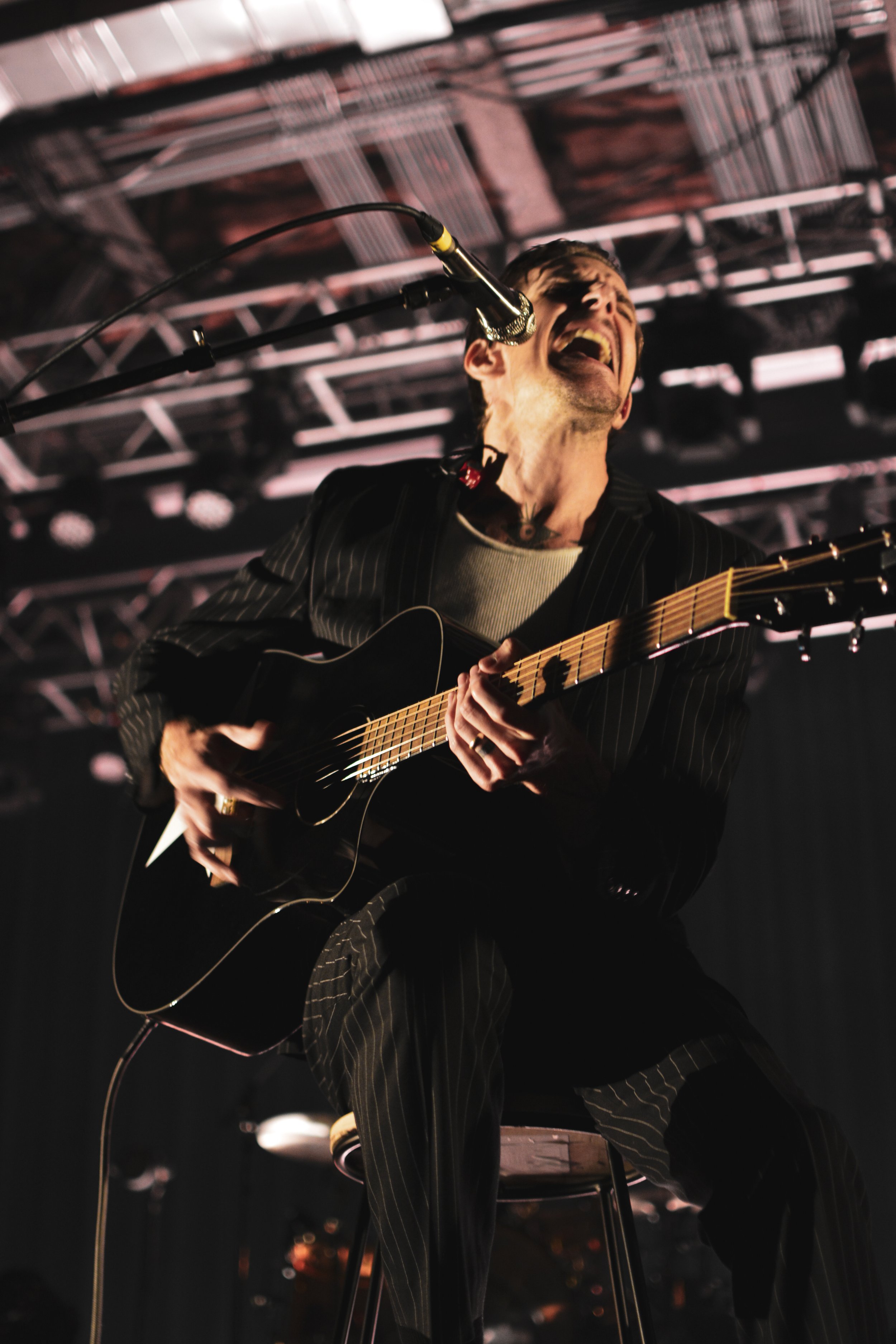  The Maine by Nicolette Cunningham 