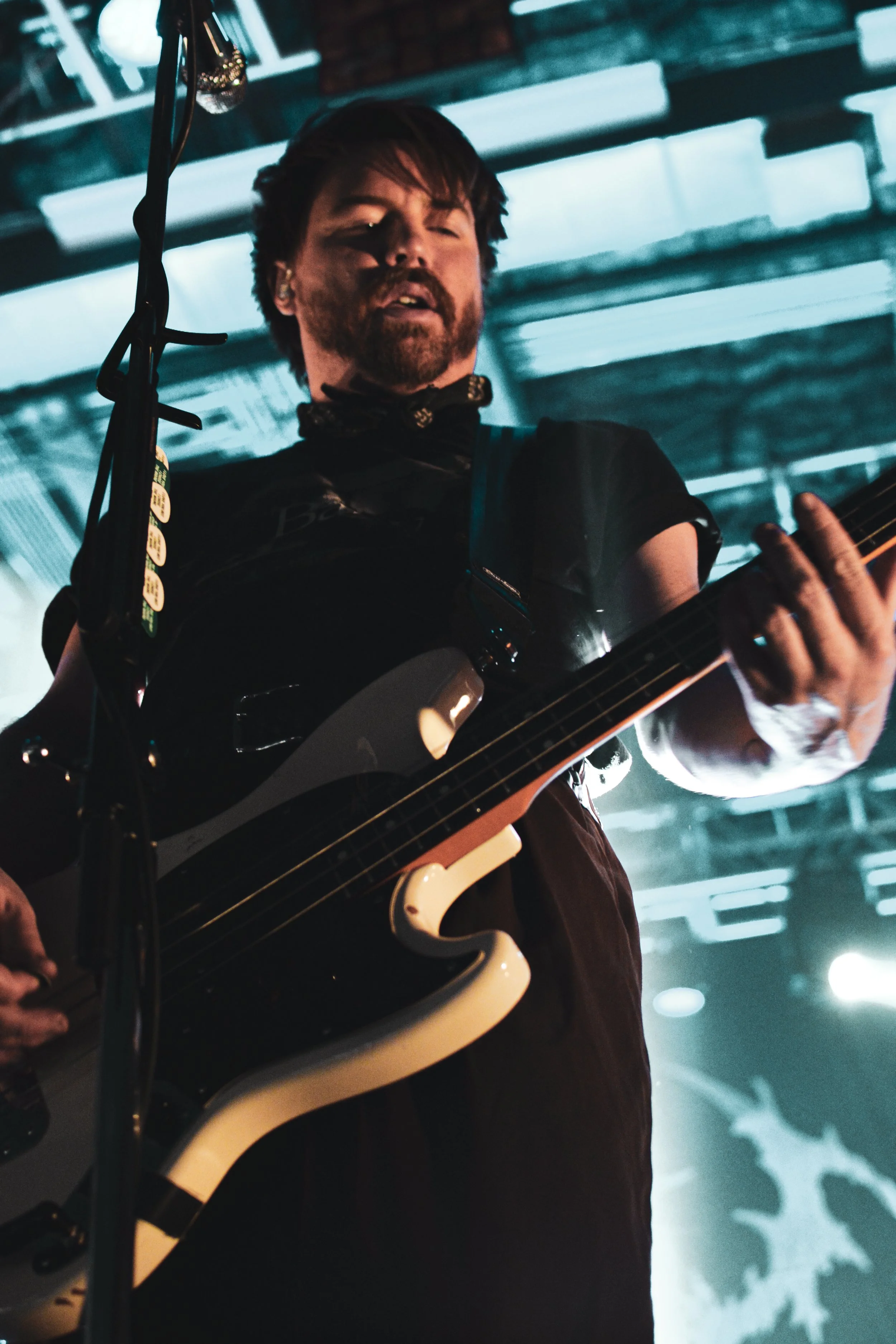  The Maine by Nicolette Cunningham 
