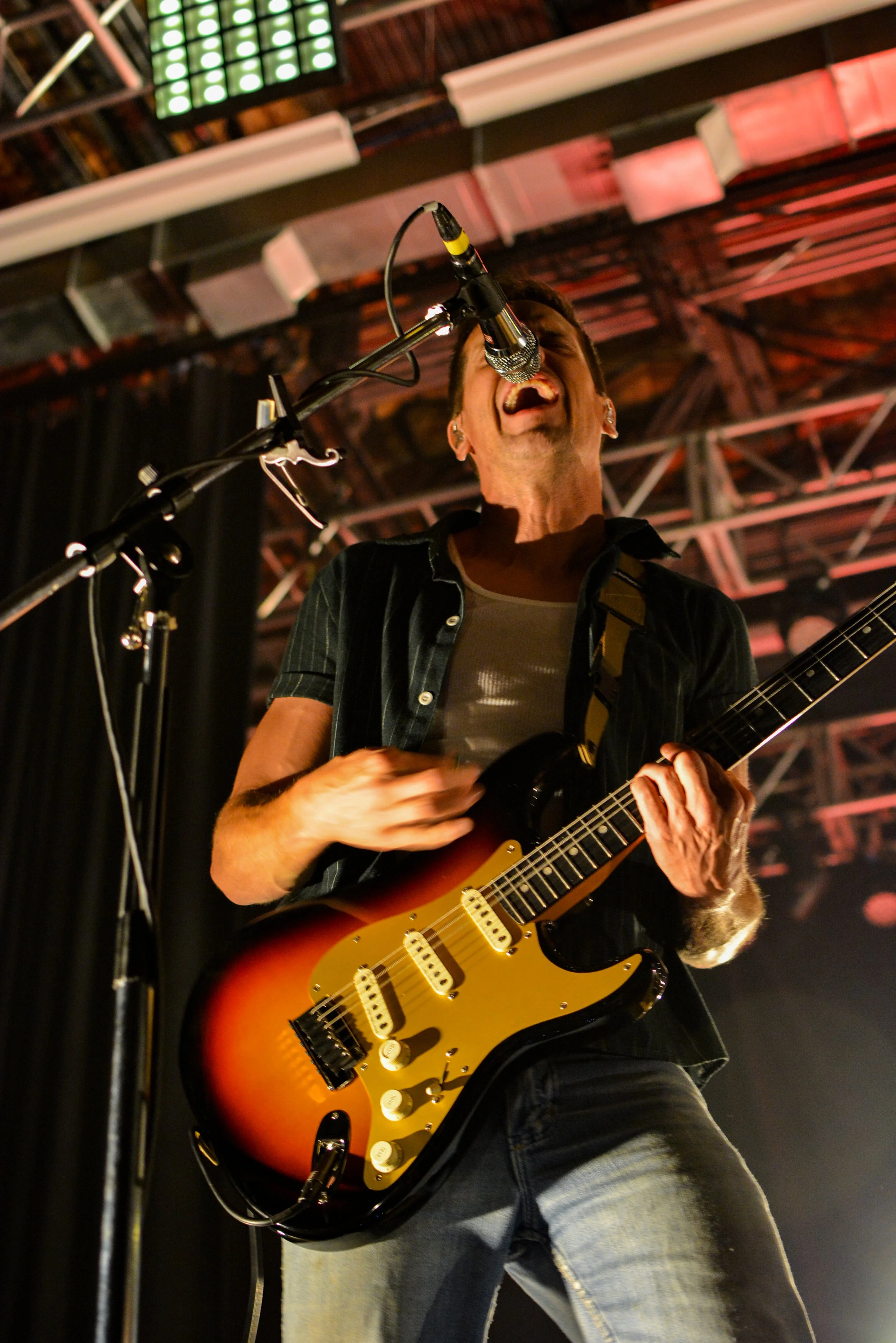  The Maine by Nicolette Cunningham 