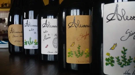 Winediner by Alessandro Viola