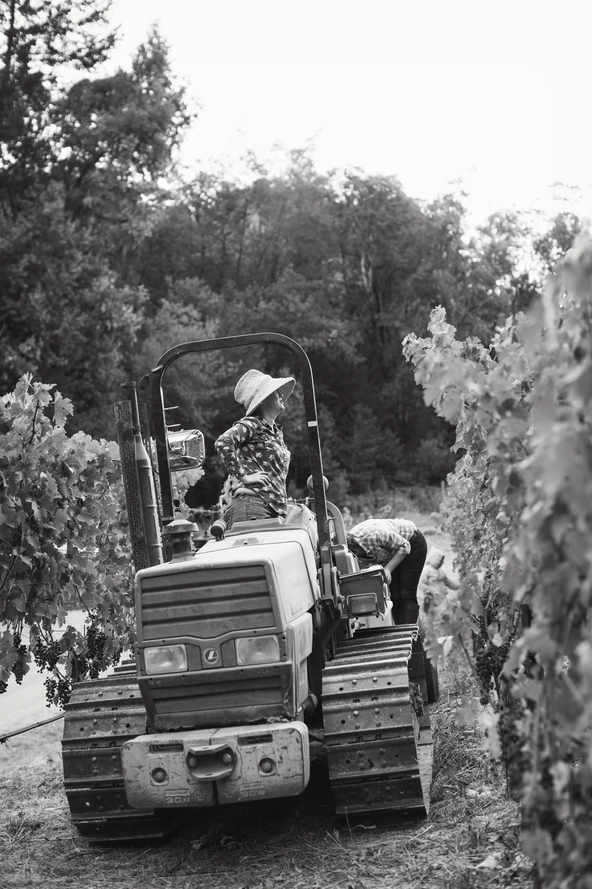 Megan_Reeves-2933bw.jpg